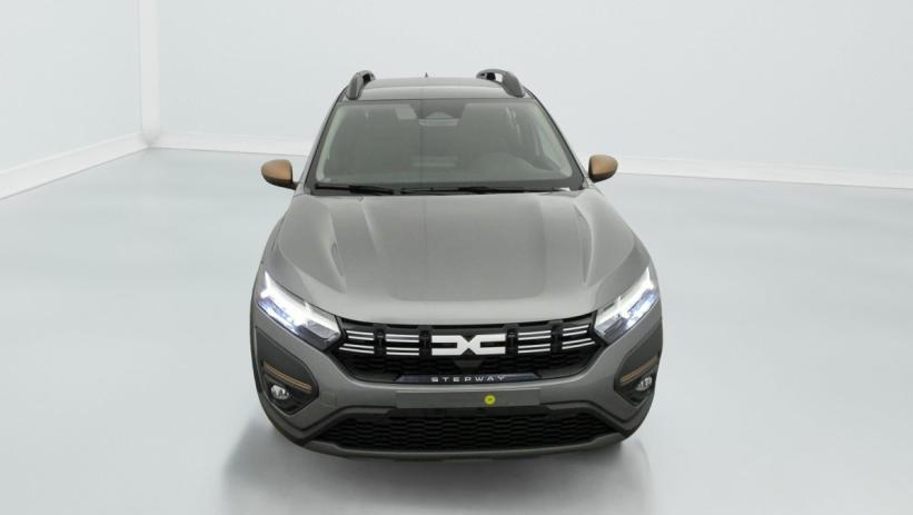 Aperçu du véhicule : TCe 110 GSR2 Stepway Extreme