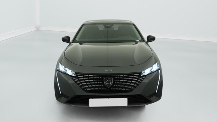 Aperçu du véhicule : PHEV 180 e-EAT8 Allure