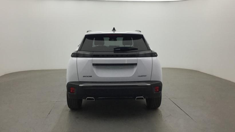 Aperçu du véhicule : 2008 Hybrid 145 e-DCS6 Allure