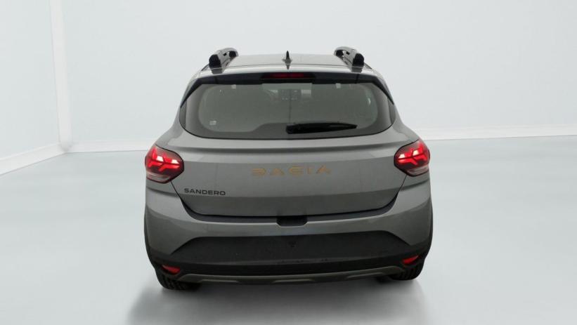 Aperçu du véhicule : TCe 110 GSR2 Stepway Extreme