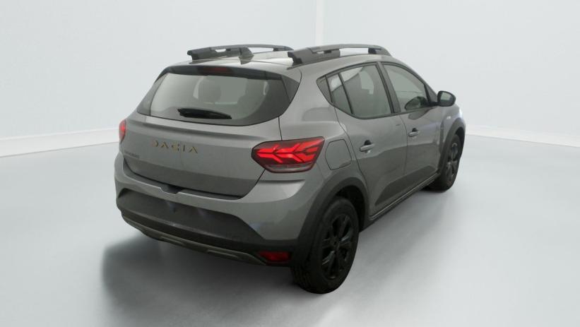 Aperçu du véhicule : TCe 110 GSR2 Stepway Extreme