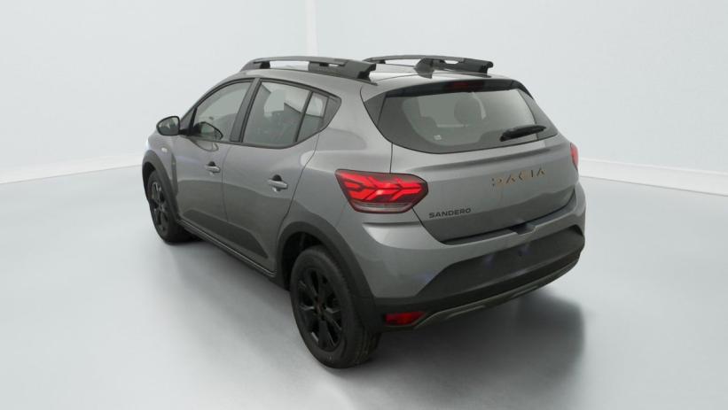 Aperçu du véhicule : TCe 110 GSR2 Stepway Extreme