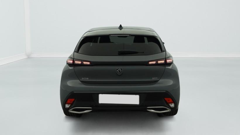 Aperçu du véhicule : PHEV 180 e-EAT8 Allure