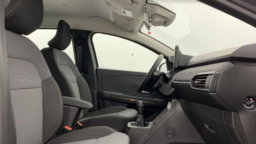 Aperçu du véhicule : TCe 110 GSR2 Stepway Extreme