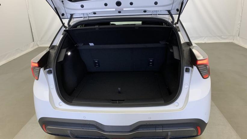 Aperçu du véhicule : ELECTRIC 77KWH - 180 KW 2WD LUXURY
