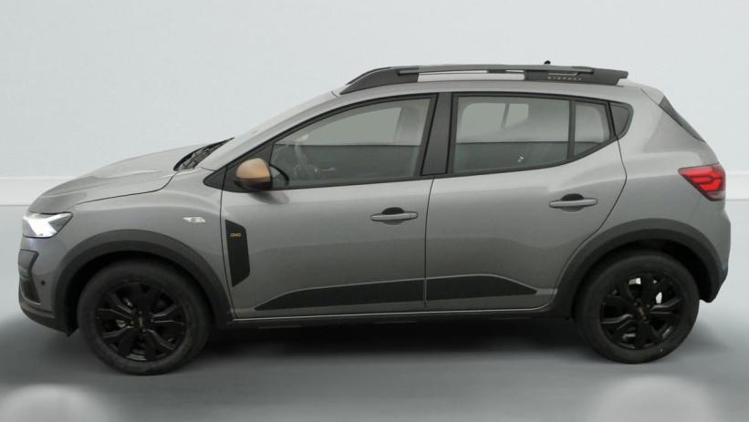 Aperçu du véhicule : TCe 110 GSR2 Stepway Extreme