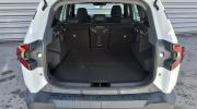 Aperçu du véhicule : BIGSTER Mild Hybrid 140 Expression