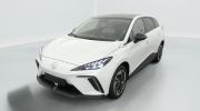 Aperçu du véhicule : ELECTRIC 64KWH - 150 KW 2WD LUXURY